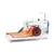 BROTHER PQ1600S (3).webp